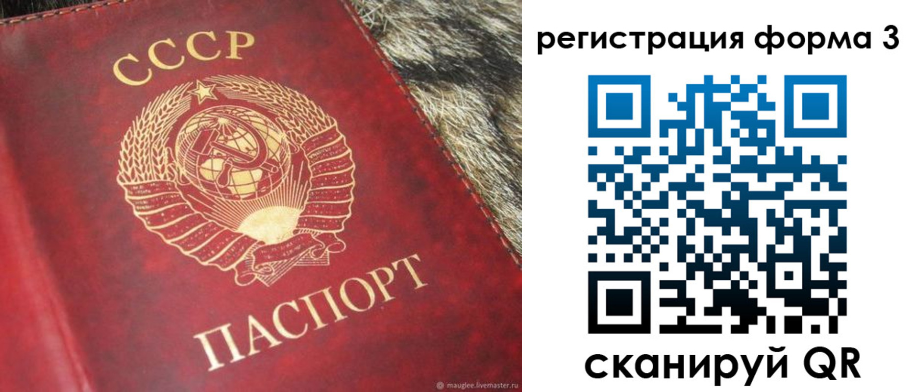 прописка регистрация в Петровске